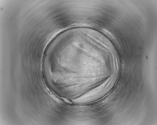 X0000086941236200705071410