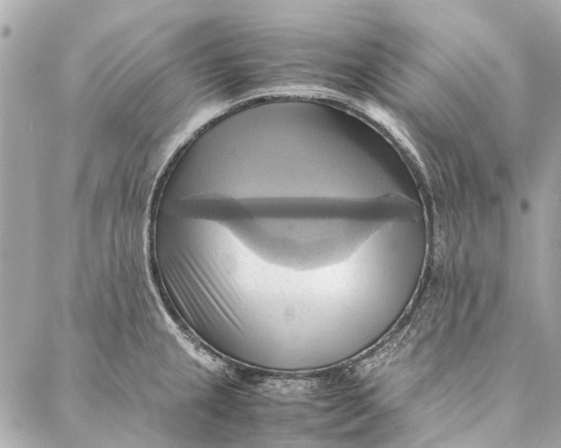 X0000086941237200705071410