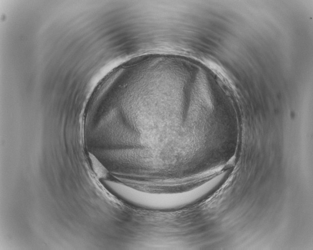 X0000086941238200705071410