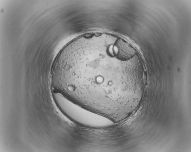 X0000086941239200705071410