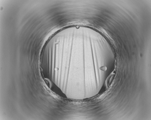 X0000086941240200705071410