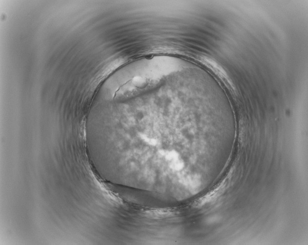 X0000086941241200705071410