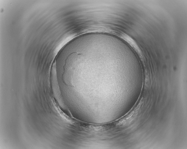 X0000086941242200705071410