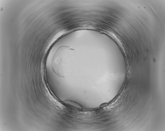 X0000086941243200705071410