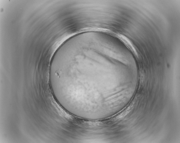 X0000086941244200705071410