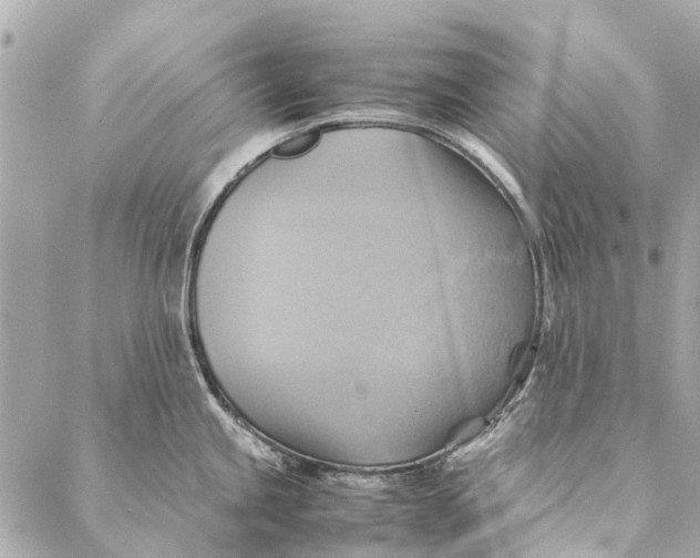 X0000086941245200705071410