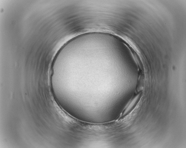 X0000086941246200705071410