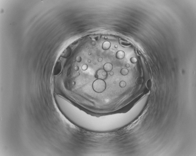 X0000086941247200705071410