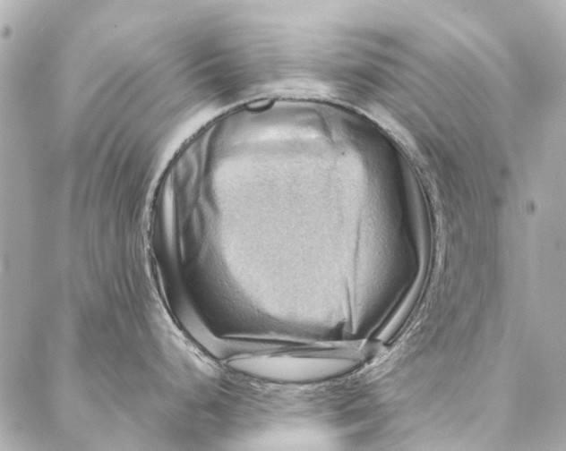 X0000086941248200705071410