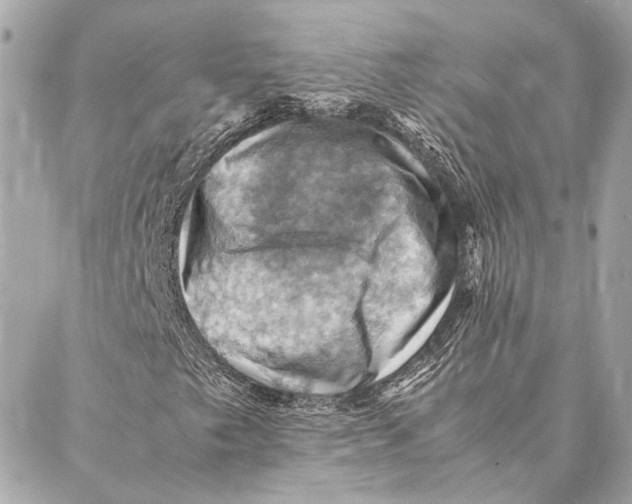 X0000086941249200705071409