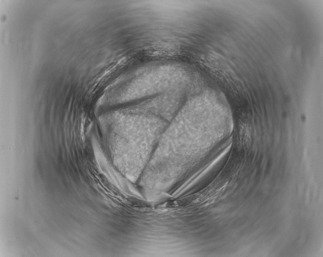 X0000086941250200705071409