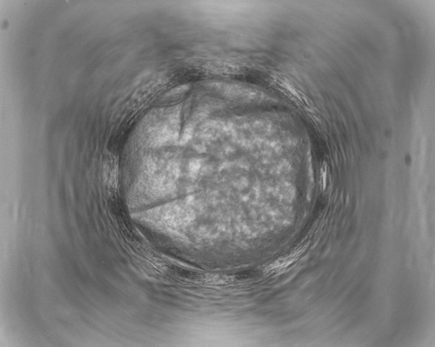 X0000086941251200705071409