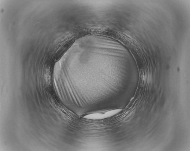 X0000086941252200705071409