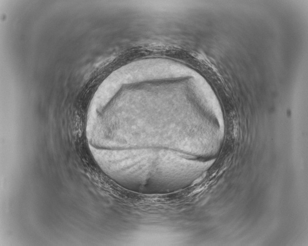 X0000086941253200705071409