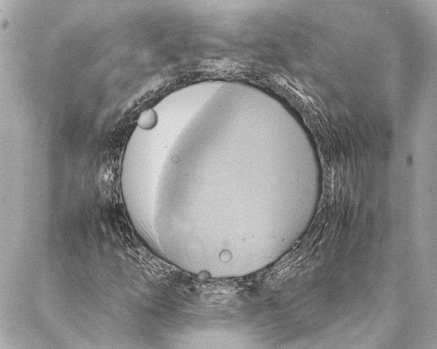 X0000086941254200705071409