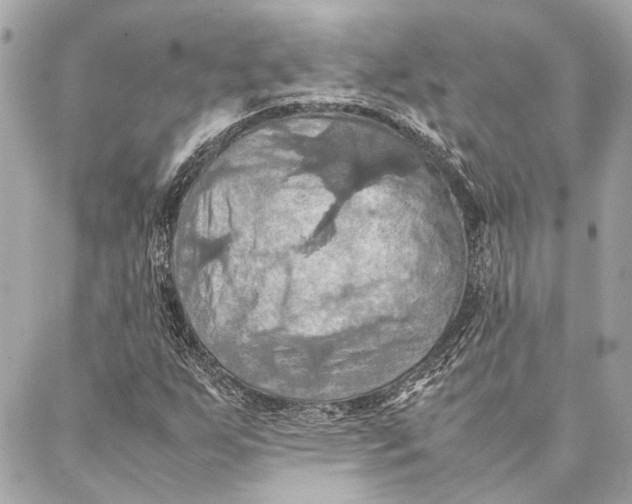 X0000086941255200705071409