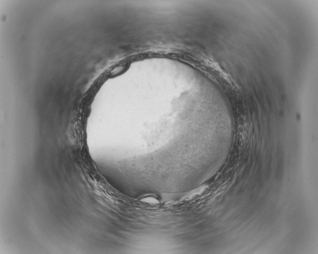 X0000086941256200705071409