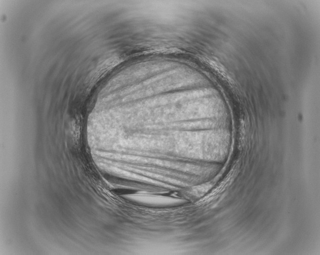 X0000086941257200705071409