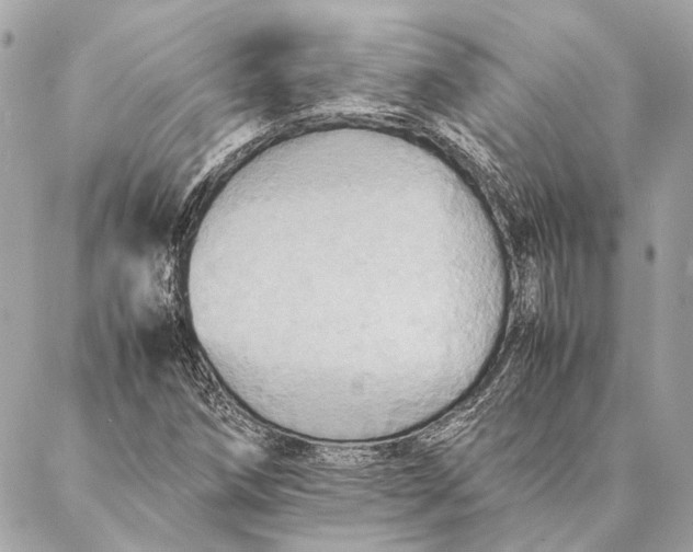 X0000086941258200705071409