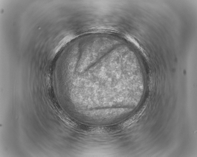 X0000086941259200705071409