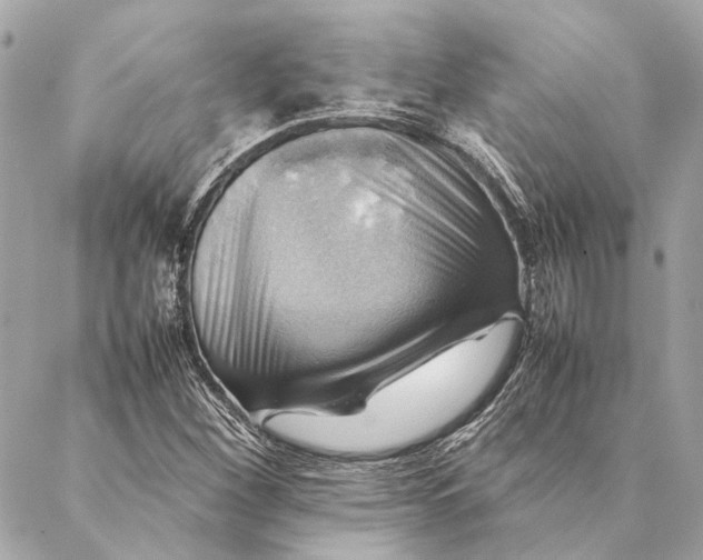 X0000086941260200705071409