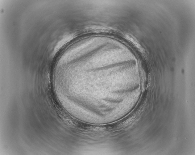 X0000086941261200705071409