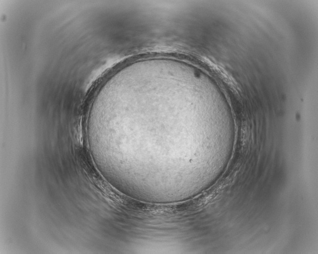 X0000086941262200705071409