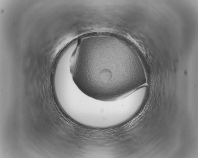 X0000086941263200705071409