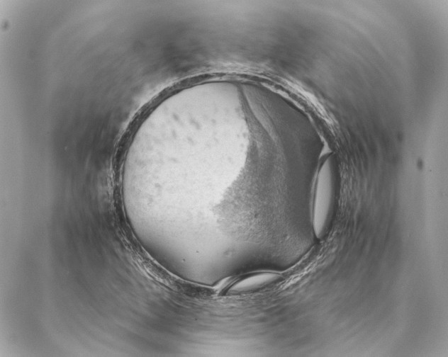 X0000086941264200705071409