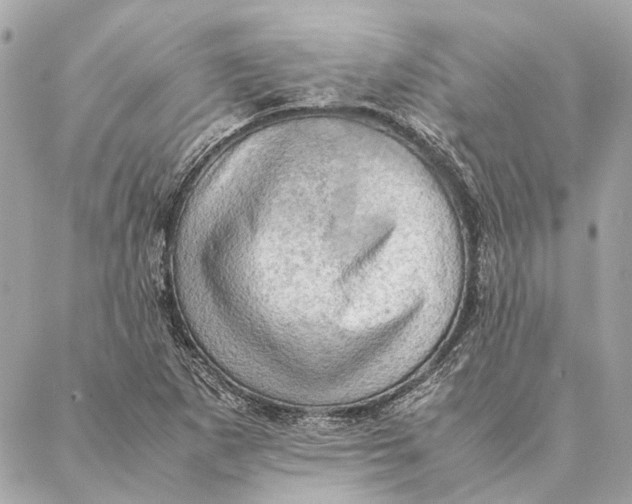 X0000086941265200705071409