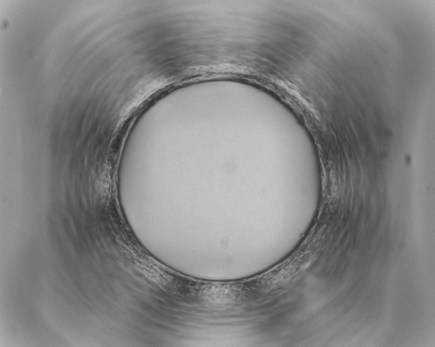 X0000086941266200705071409