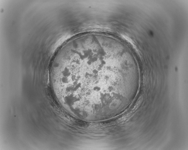 X0000086941267200705071409