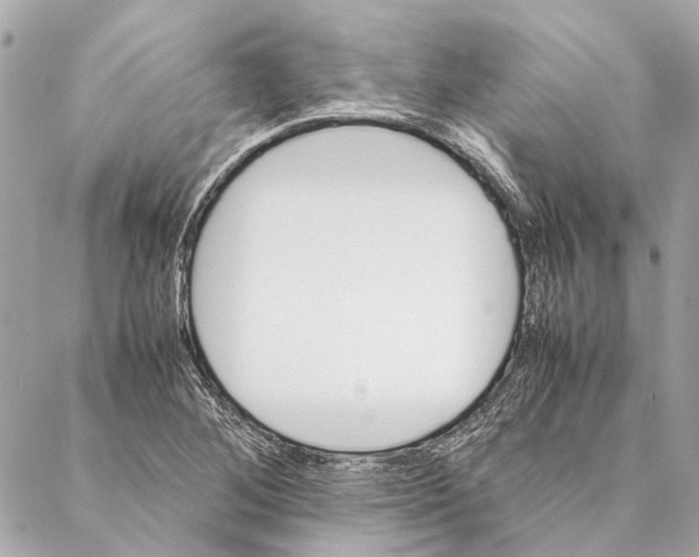 X0000086941268200705071409