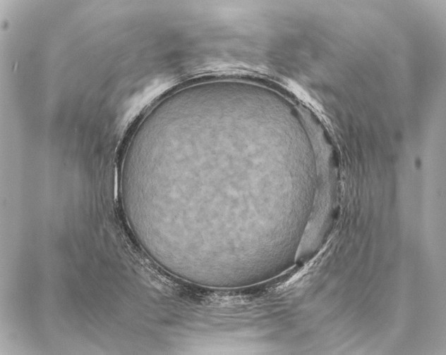 X0000086941269200705071409