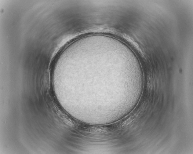 X0000086941270200705071409