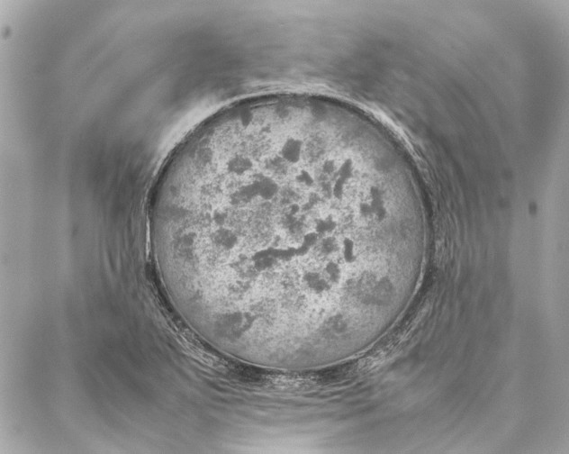 X0000086941271200705071409