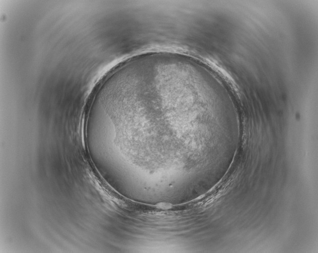 X0000086941272200705071409