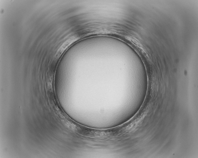 X0000086941273200705071409