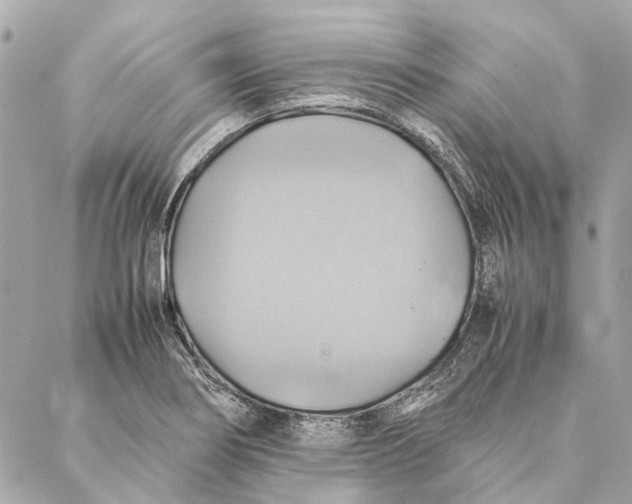 X0000086941274200705071409