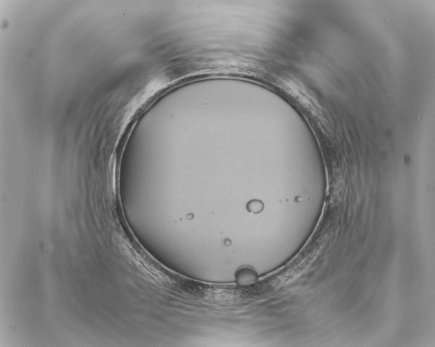 X0000086941275200705071409