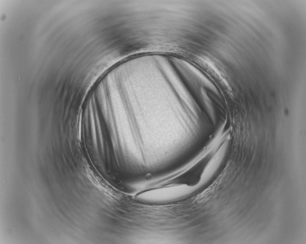 X0000086941276200705071409