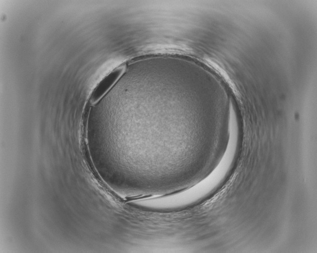 X0000086941277200705071409