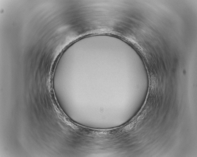 X0000086941278200705071409