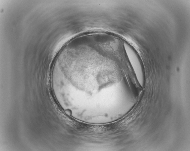 X0000086941279200705071409