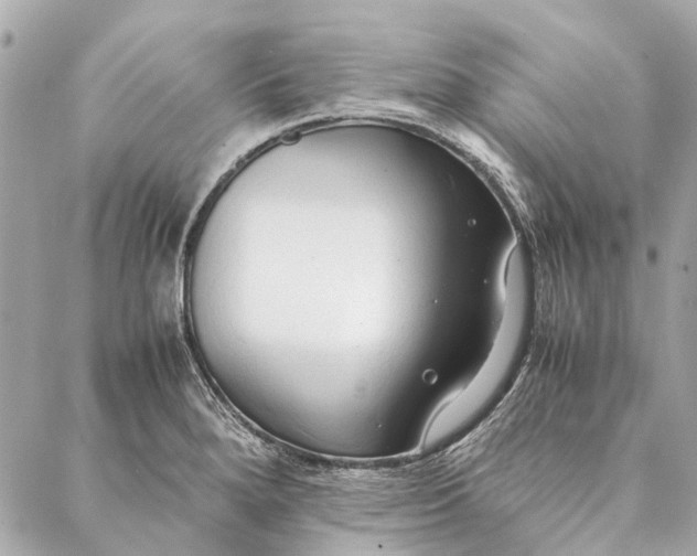 X0000086941280200705071409