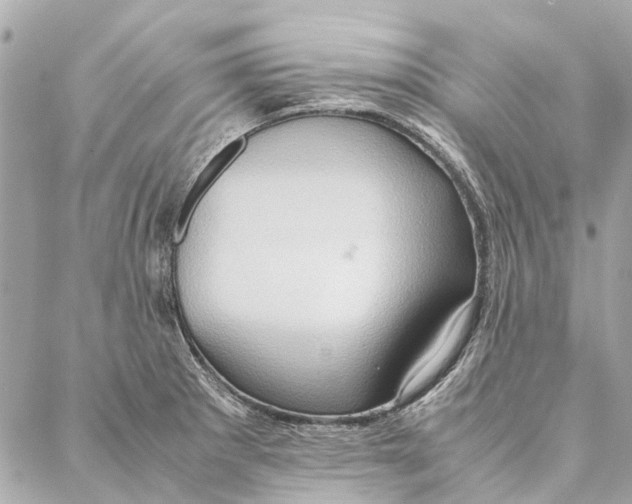 X0000086941281200705071409