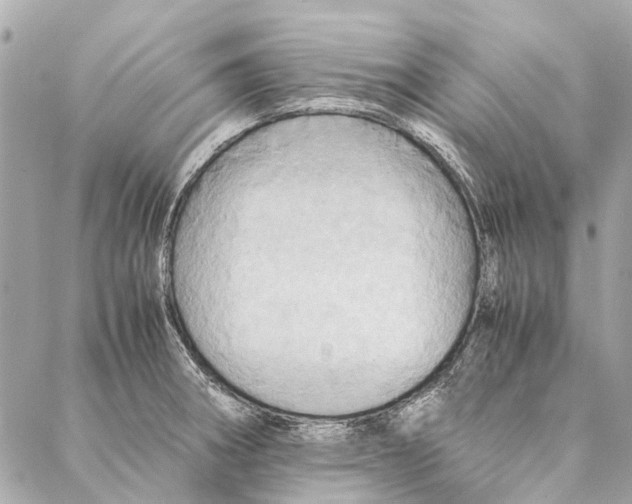 X0000086941282200705071409