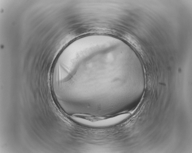 X0000086941283200705071409