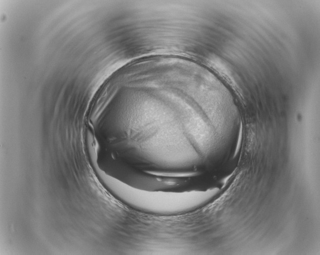 X0000086941284200705071409