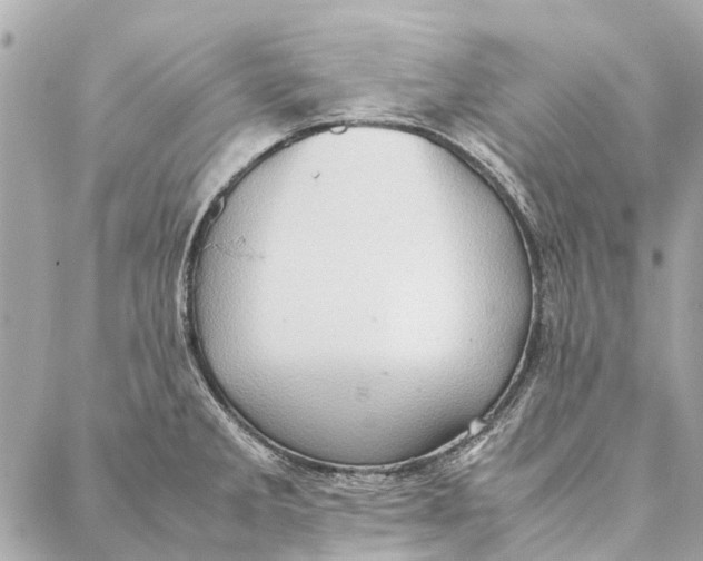 X0000086941285200705071409